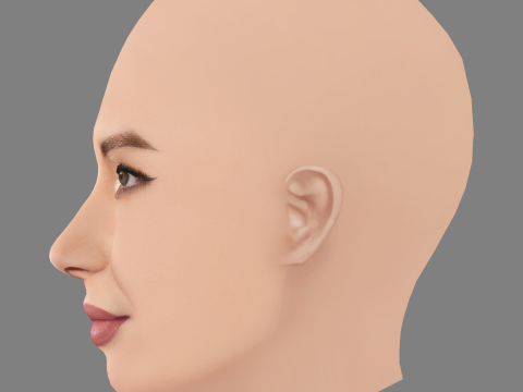 Olivia Munn Head - Sem cabelo - Cabeça baixa poli para jogo Modelo 3D