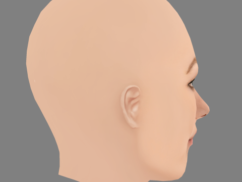 ओलिविया वाइल्ड हेड - नो हेयर - गेम के लिए लो पॉली हेड 3D मॉडल