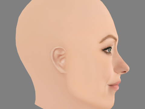 ओलिविया वाइल्ड हेड - नो हेयर - गेम के लिए लो पॉली हेड 3D मॉडल