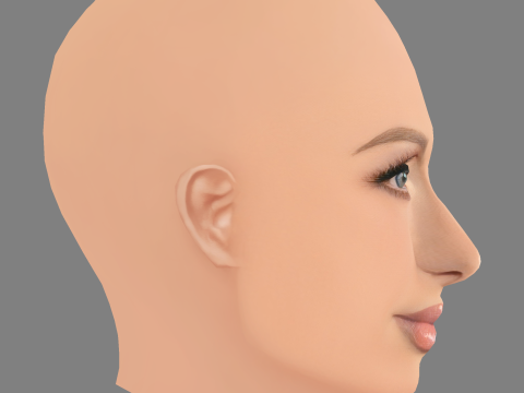 पेरिस हिल्टन हेड - नो हेयर - गेम के लिए लो पॉली हेड 3D मॉडल