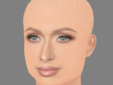 पेरिस हिल्टन हेड - नो हेयर - गेम के लिए लो पॉली हेड 3D मॉडल