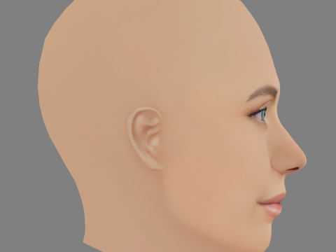 巴黎杰克逊头 - 无头发 - 低聚游戏头 3D 模型