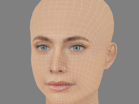 巴黎杰克逊头 - 无头发 - 低聚游戏头 3D 模型