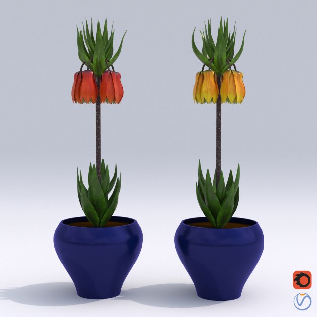 fritillaria imperialis 3D Модель .c4d .max .obj .3ds .fbx .stl .blend 