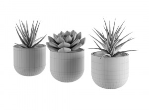 Succulent collection 01 3Dモデル