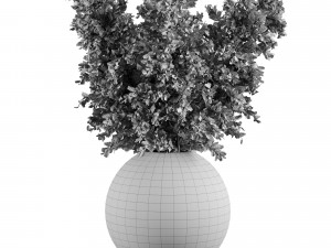 Pampass vase bouquet set 02 Modello 3D