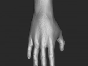 mano Modello 3D