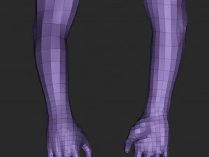 hand 3D Model