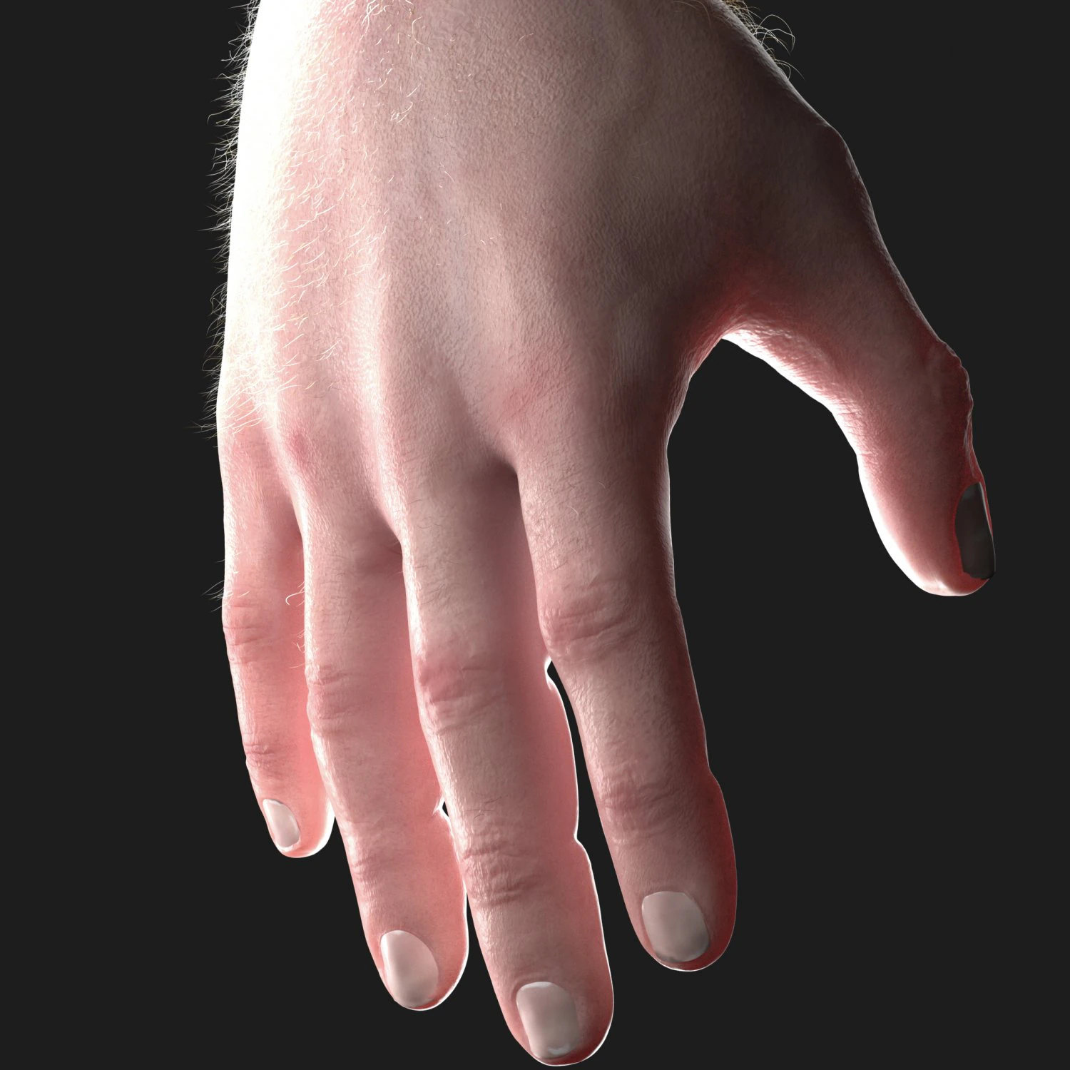 realistic hand cg low-poly 3D Model .c4d .max .obj .3ds .fbx .stl .blend 