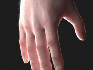 realistic hand cg low-poly 3D Model