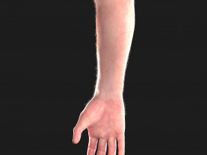 realistic hand cg low-poly Modello 3D