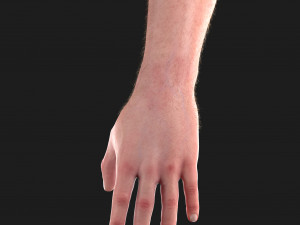 realistic hand cg low-poly Modello 3D