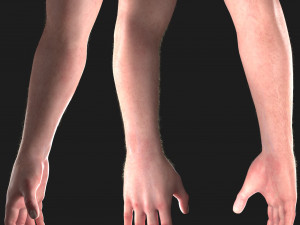 realistic hand cg low-poly Modello 3D
