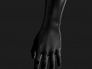 realistic hand cg low-poly Modello 3D