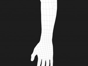 realistic hand cg low-poly Modello 3D