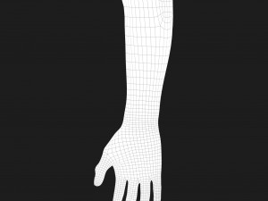 realistic hand cg low-poly Modello 3D