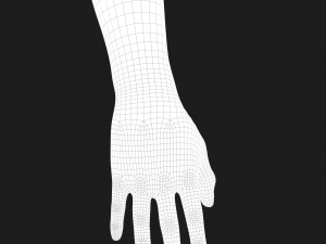 realistic hand cg low-poly Modello 3D