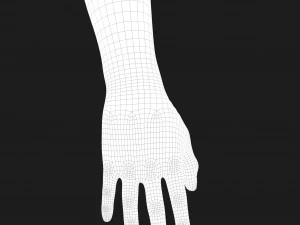 realistic hand cg low-poly 3D Model