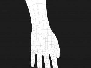 realistic hand cg low-poly Modello 3D