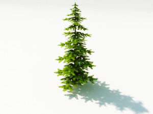 tir free 3D Model