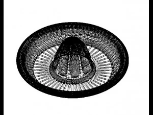 citrus juicer 3D Model