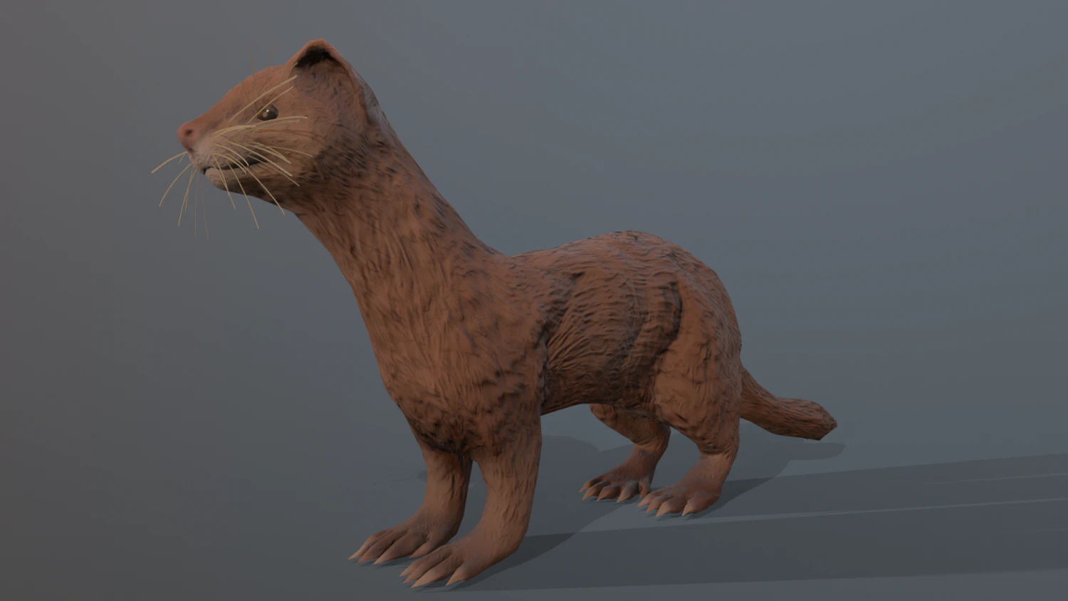 beige ferret 3D Model .c4d .max .obj .3ds .fbx .stl .blend 