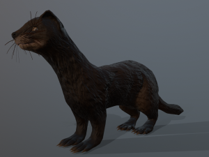 dark sable ferret 3D Model