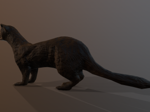 dark sable ferret 3D 模型