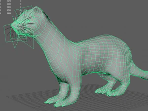 albino ferret 3D Model