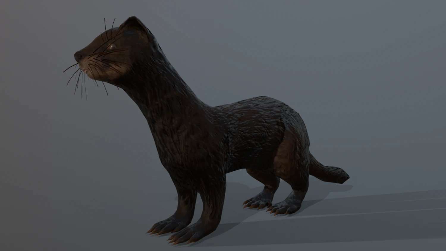 4 furetti Modello 3D .c4d .max .obj .3ds .fbx .stl .blend 
