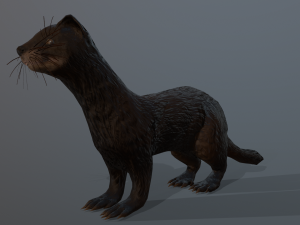 4 ferrets 3D Model
