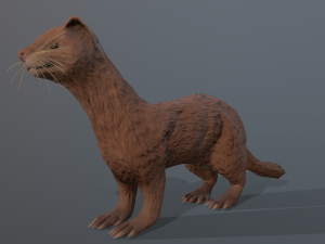 4 ferrets Modelo 3D