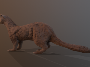 4 ferrets Modelo 3D