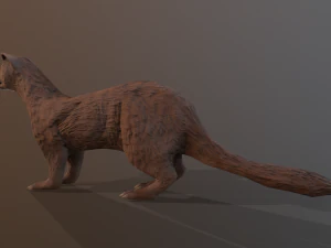 4 furetti Modello 3D