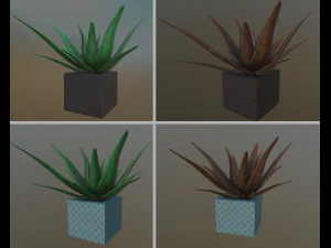 fiori con 4 diverse variazioni di texture Modello 3D