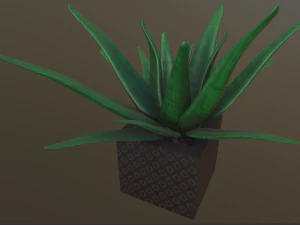 flowers with 4 different textures variation 3D Model