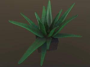 flowers with 4 different textures variation 3D Model