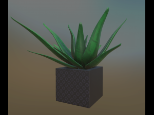 flowers with 4 different textures variation 3D Model