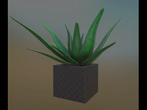 flowers with 4 different textures variation 3D Model