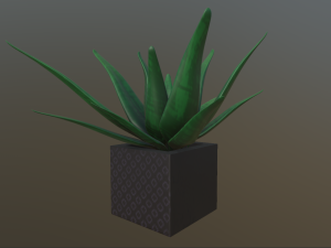 flowers with 4 different textures variation 3D Model