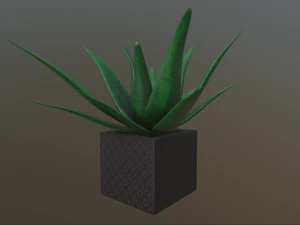 flowers with 4 different textures variation 3D Model
