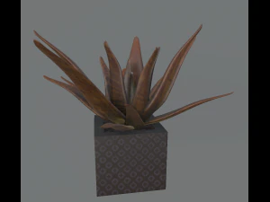 flowers with 4 different textures variation 3D Model