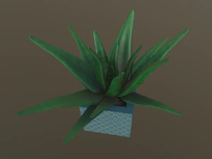 flowers with 4 different textures variation 3D Model