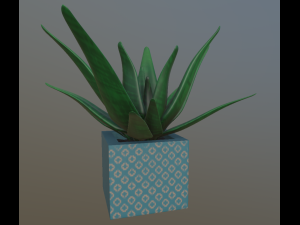 flowers with 4 different textures variation 3D Model