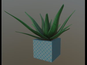 flowers with 4 different textures variation 3D Model