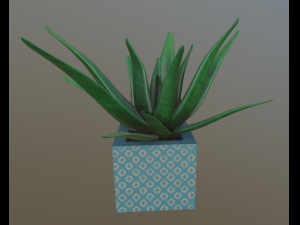flowers with 4 different textures variation 3D Model