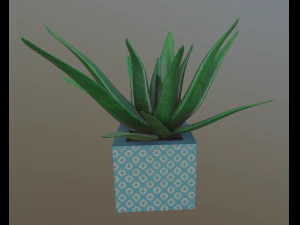 flowers with 4 different textures variation 3D Model