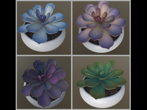 flower with 4 different texture variations 3D Model