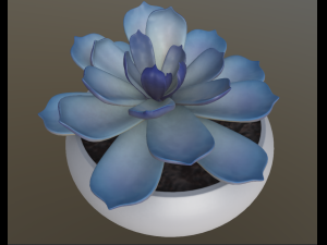 flower with 4 different texture variations 3Dモデル