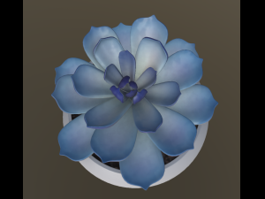 flower with 4 different texture variations 3Dモデル